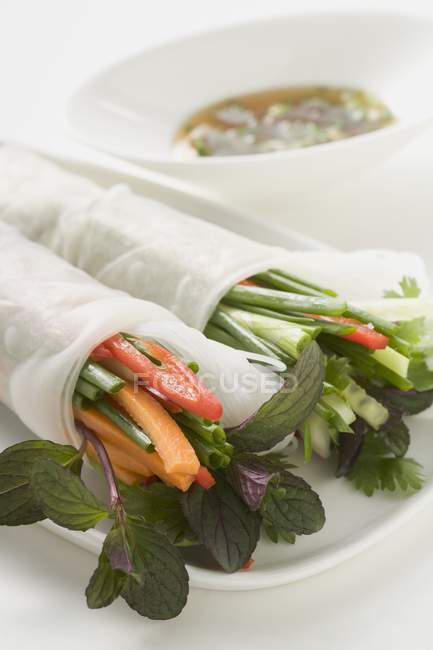 Rice paper rolls filled with vegetables — Stock Photo