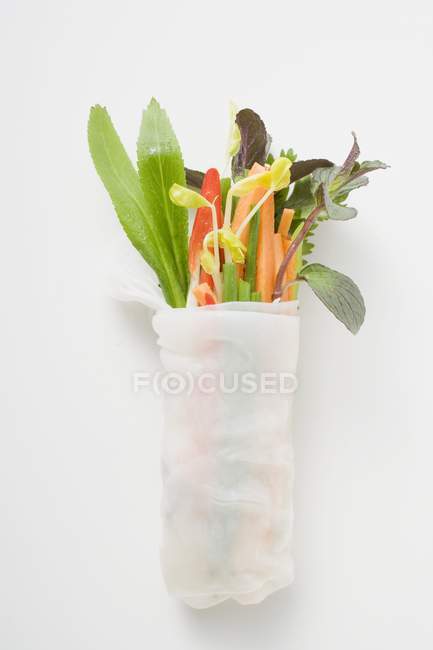 Reispapierrolle gefüllt mit Gemüse — Stockfoto