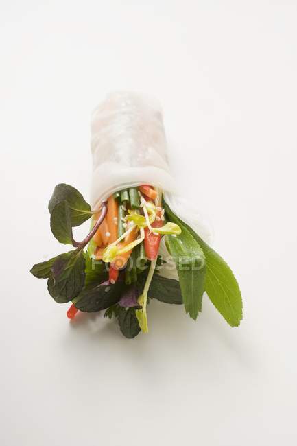 Rouleau de papier de riz rempli de légumes — Photo de stock