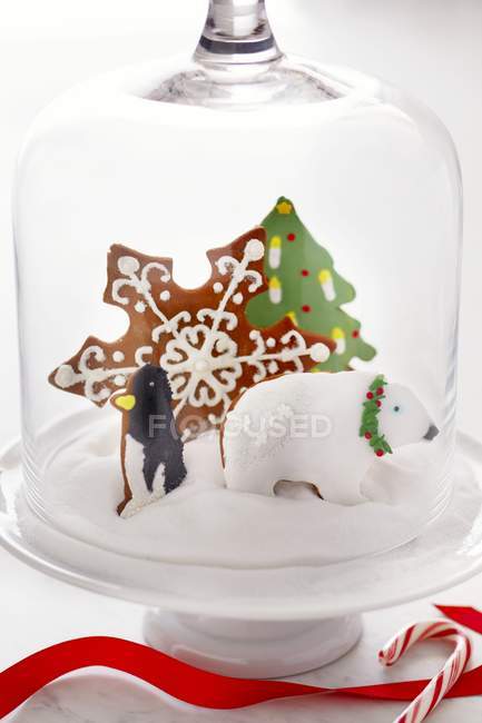 Christmas Cookies Under a Glass Dome — Stock Photo