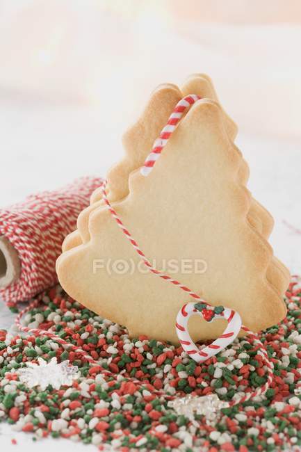 Fir tree biscuits — Stock Photo