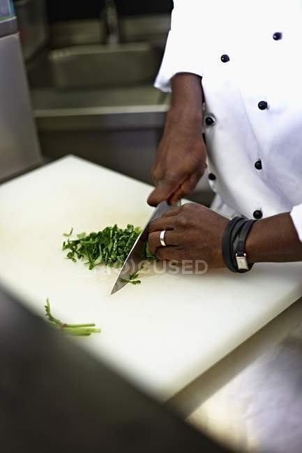 Vista recortada de un chef cortando hierbas - foto de stock