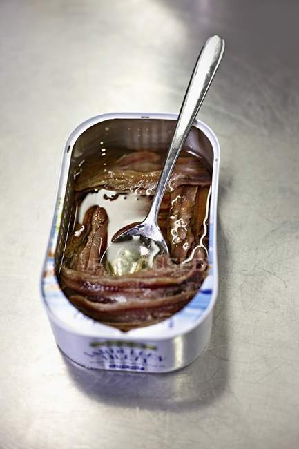 Vista elevada de una lata de anchoas con una cuchara - foto de stock