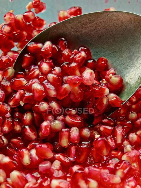 Fresh Pomegranate seeds — Stock Photo