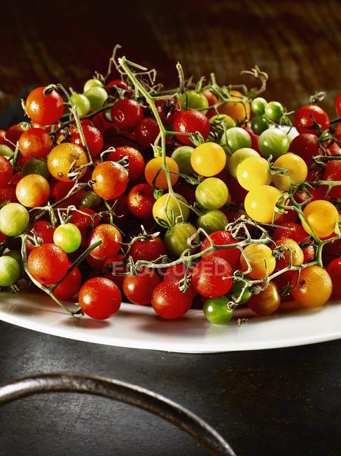 Cocktail tomatoes on white plate — Stock Photo