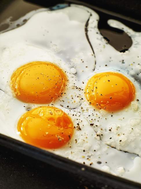 Huevos de pollo fritos - foto de stock