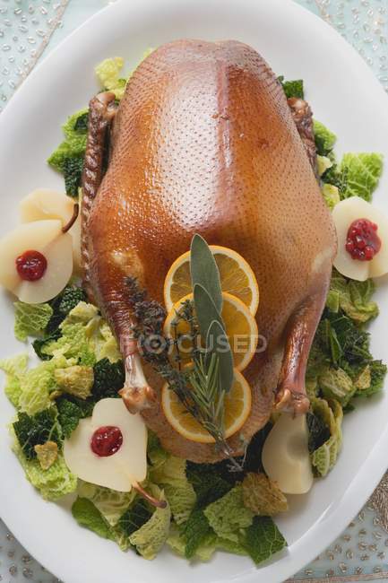 Canard rôti au chou de Savoie — Photo de stock