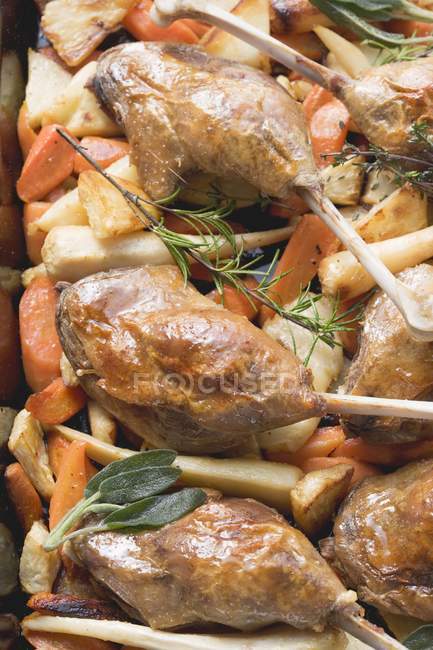 Roasted duck legs on root vegetables — Stock Photo