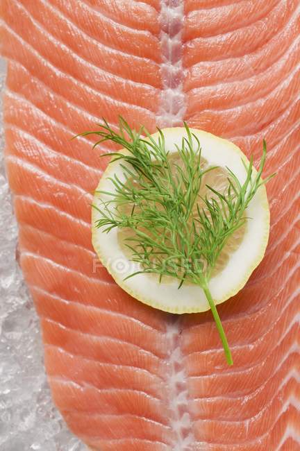 Filete de salmón con limón y eneldo - foto de stock
