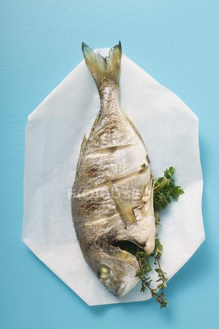 Whole baked sea bream on paper — Stock Photo