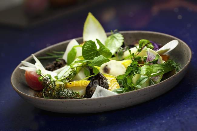 Salade fraîche mélangée dans une assiette grise sur une surface bleue — Photo de stock
