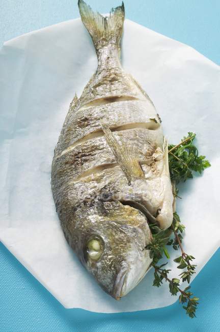 Whole fried sea bream on paper — Stock Photo