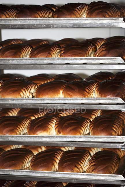 Pains de pain fraîchement cuits — Photo de stock