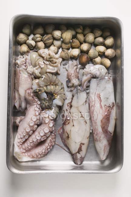 Вид зверху на сирі кальмари, молюски та креветки в контейнері з нержавіючої сталі — стокове фото