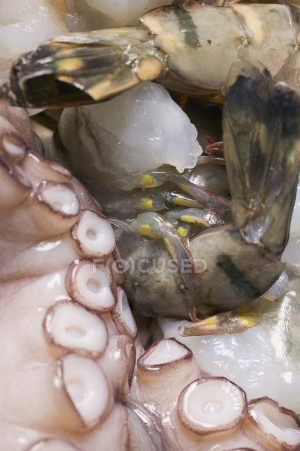Raw Tiger prawns and octopus — Stock Photo