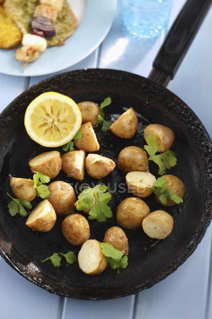 Fried potatoes with coriander — Stock Photo