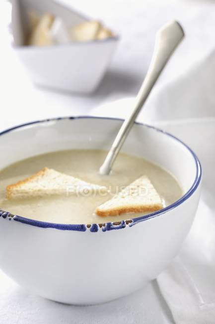 Sour soup with bread triangles — Stock Photo