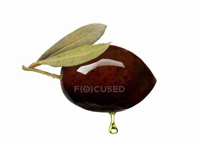 Черная оливка с каплей масла на белом фоне — стоковое фото