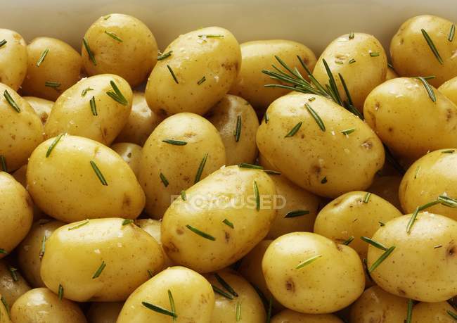 Roasted potatoes with salt and rosemary — Stock Photo