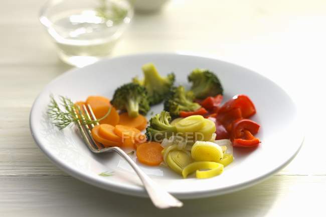 Plato de verduras con zanahorias - foto de stock