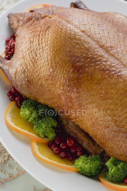 Roasted duck for Christmas — Stock Photo