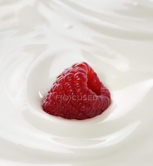 RAW Малина в йогурт — стокове фото