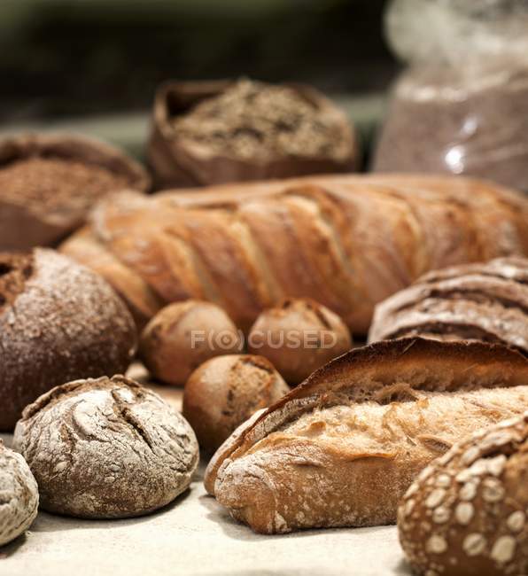 Свіжий запечений хліб і рулети — стокове фото