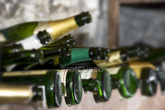 Ігристі пляшки вина в винній стійці — стокове фото