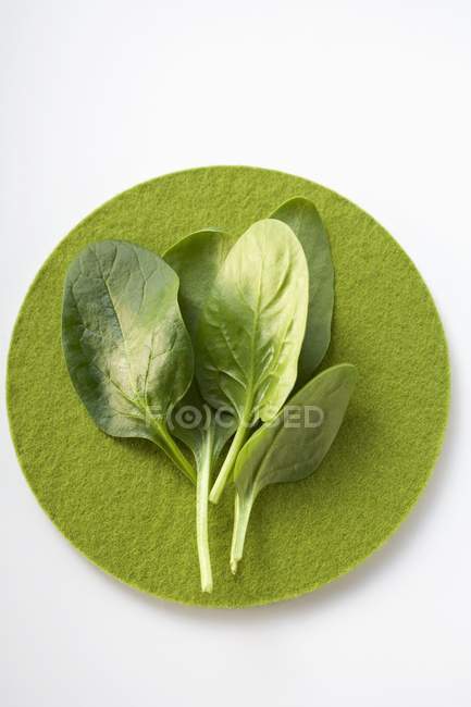 Foglie di spinaci su cerchio di feltro verde — Foto stock