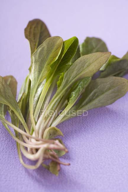 Красный кукурузный салат — стоковое фото