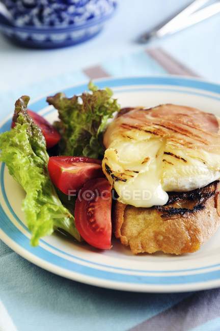 Tomino cheese wrapped in bacon — Stock Photo