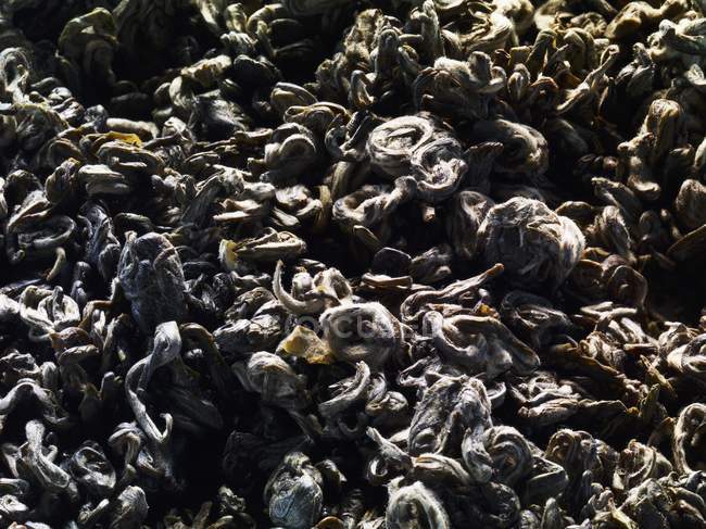 Dried green tea leaves — Stock Photo