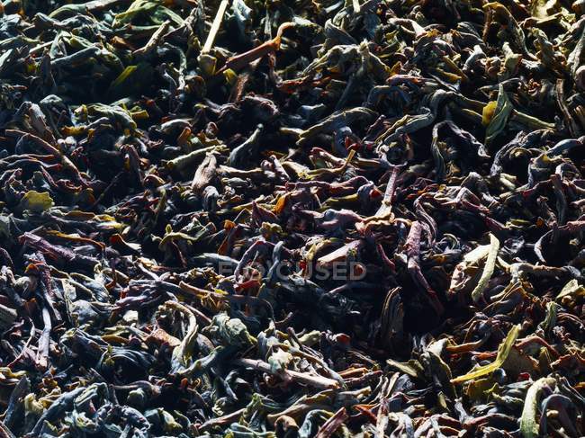 Folhas de chá preto secas — Fotografia de Stock