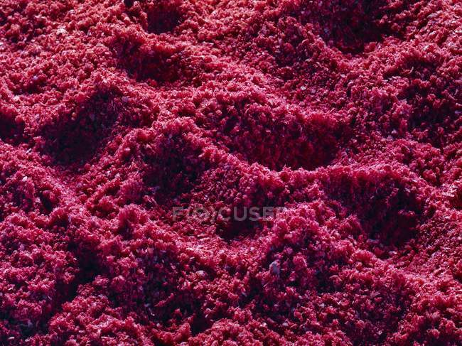 Closeup view of Tandoori spice mixture heap — Stock Photo