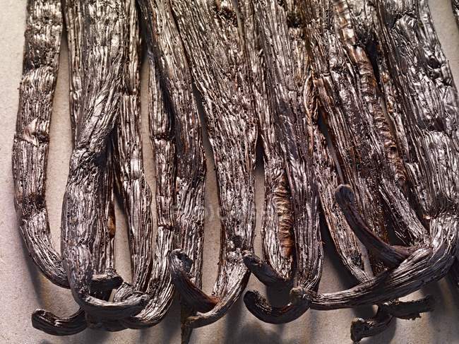 Vista de cerca de vainas de vainilla de Madagascar en una fila - foto de stock