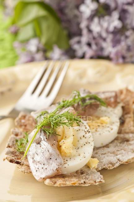 Boiled egg with dill and herring on plate with fork — Stock Photo