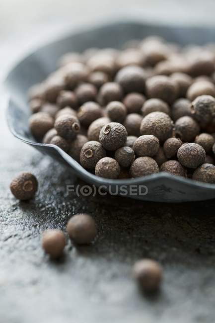 Closeup view of allspice berries in a small bowl — Stock Photo