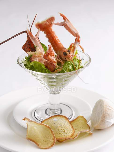 Lobster cocktail with crisps — Stock Photo