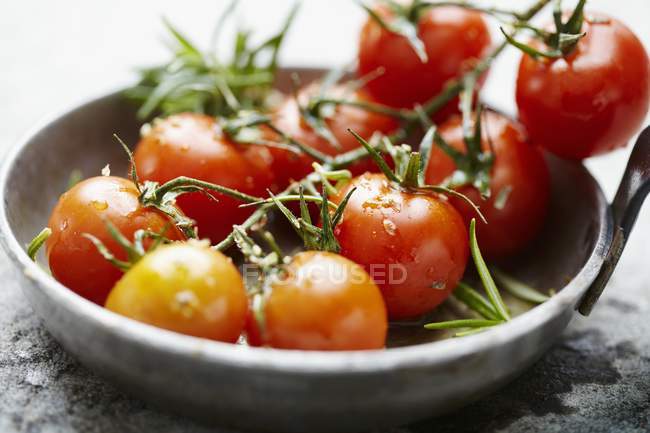 Tomatoes on vine seasoned — Stock Photo