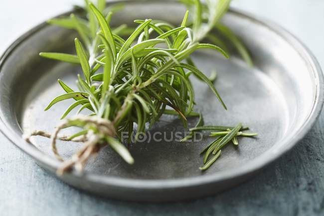 Rosemary sprigs on tin plate — Stock Photo