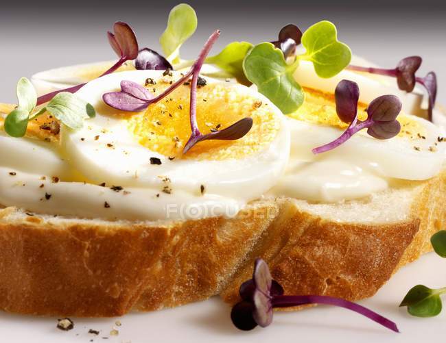 Slice of white bread topped with egg — Stock Photo