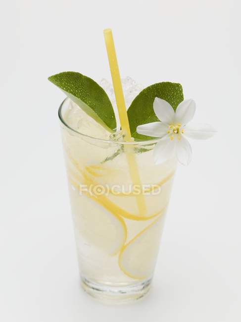 Lemonade with lemon blossom — Stock Photo