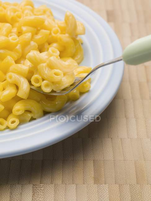 Fresh macaroni and cheese — Stock Photo
