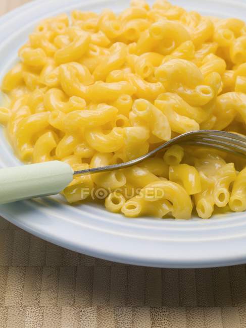 Macaronis et fromage frais — Photo de stock