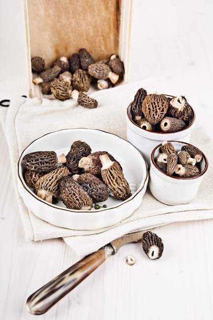 Bowls of fresh morel mushrooms — Stock Photo