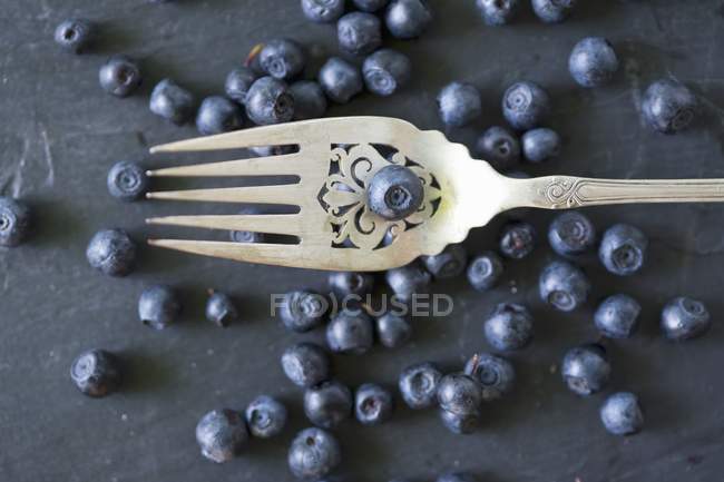 Blueberries with vintage fork — Stock Photo