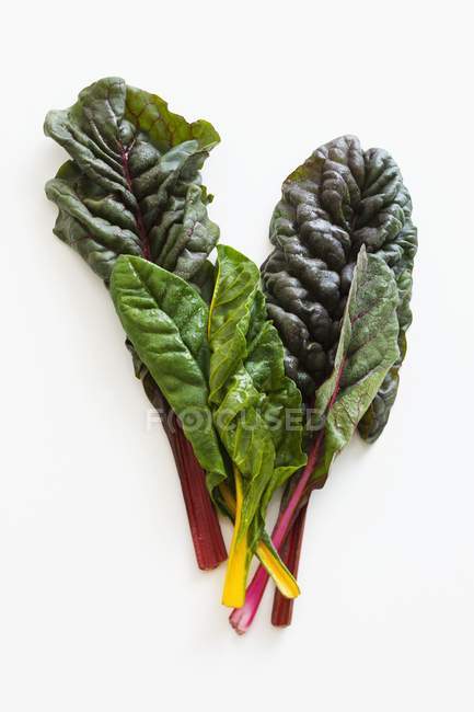 Red and yellow chard leaves — Stock Photo
