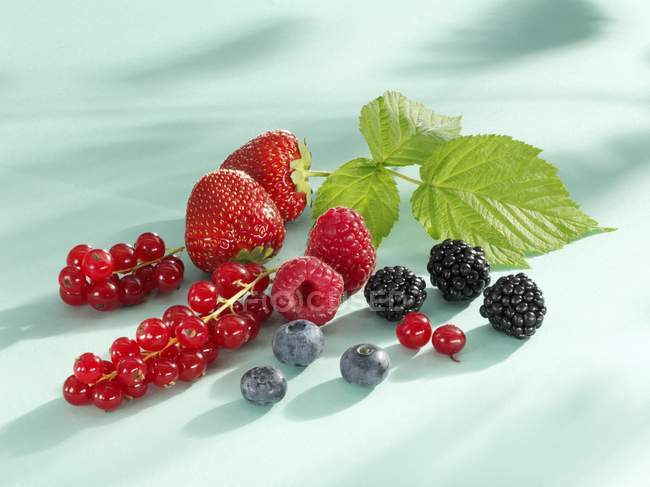 Mixed summer berries — Stock Photo