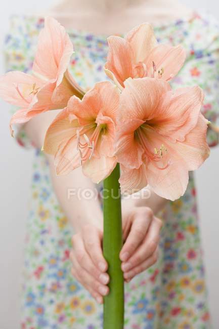 Donna che tiene il fiore — Foto stock