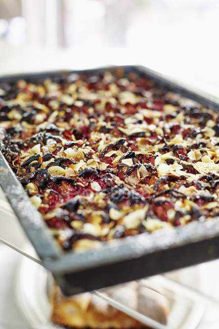 Closeup view of damson tray bake with almonds — Stock Photo